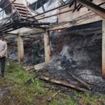 Kandang Ayam Tiga Lantai Terbakar di Sumowono, 55 Ribu Ayam Hangus, Kerugian Capai Rp 3 Miliar