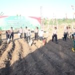 Polres Semarang Gandeng Forkopimda Tanam Jagung Kuartal III di Lahan Perhutani Pringapus