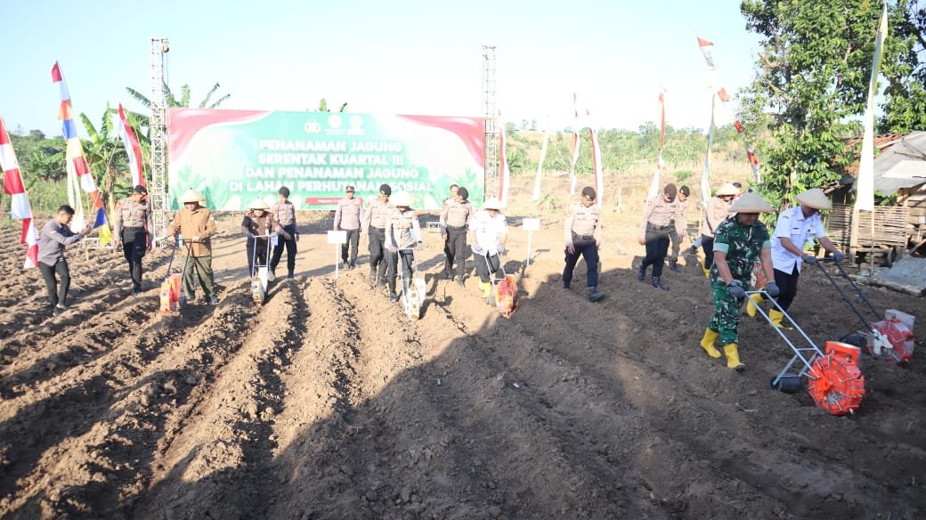 Polres Semarang Gandeng Forkopimda Tanam Jagung Kuartal III di Lahan Perhutani Pringapus