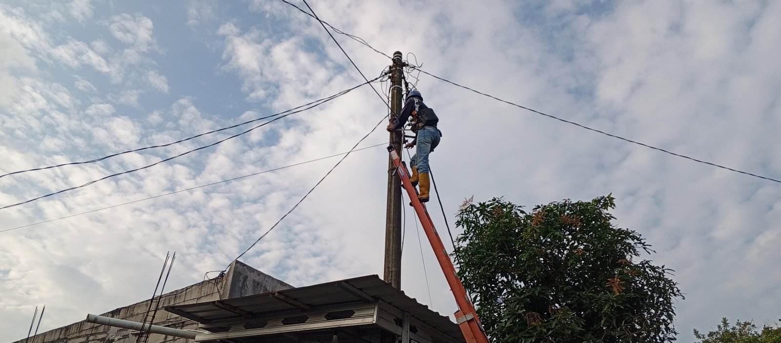 PLN Icon Plus Tertibkan Kabel FO Gantung di Boja