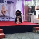 Anabul Berlenggak-lenggok di Panggung Fashion Show Salatiga