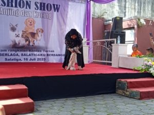 Anabul Berlenggak-lenggok di Panggung Fashion Show Salatiga